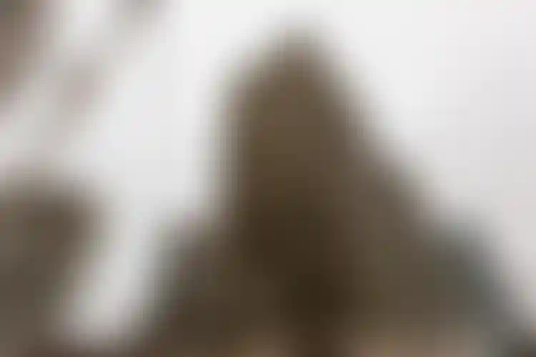 Изображение галереи