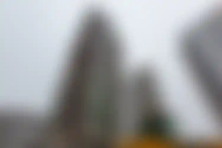 Изображение галереи