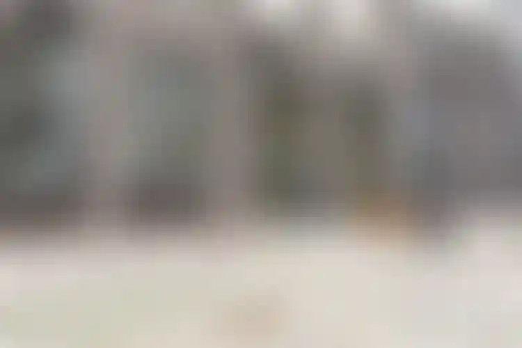 Изображение галереи