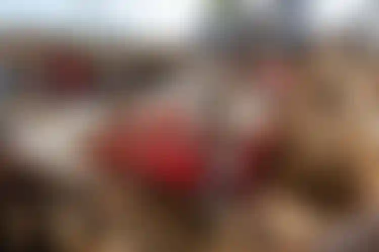 Изображение галереи