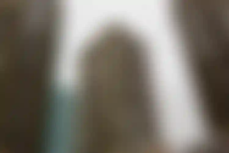 Изображение галереи