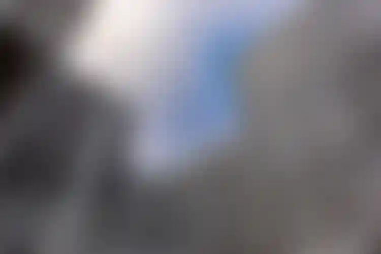 Изображение галереи