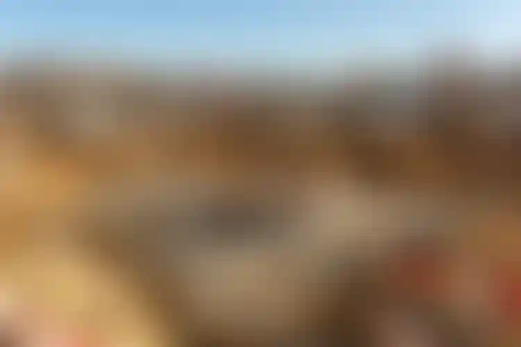 Изображение галереи