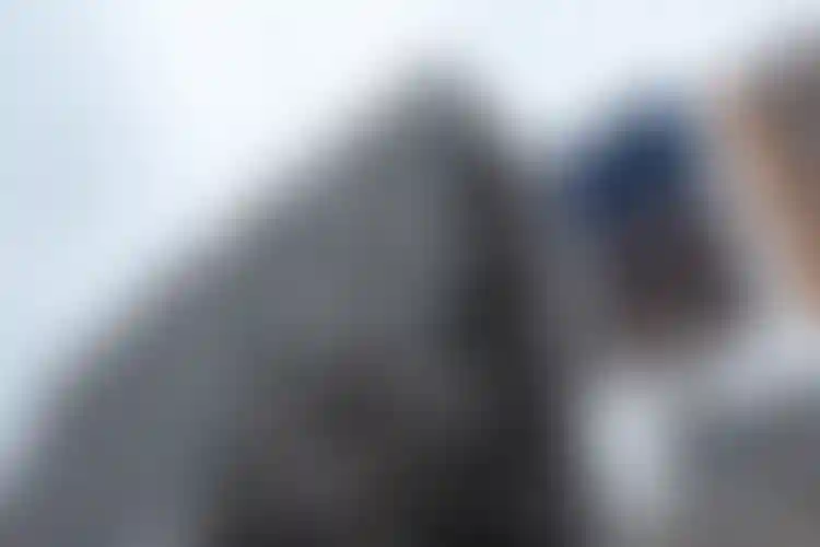 Изображение галереи