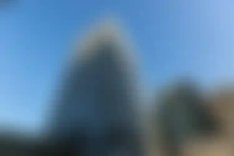 Изображение галереи