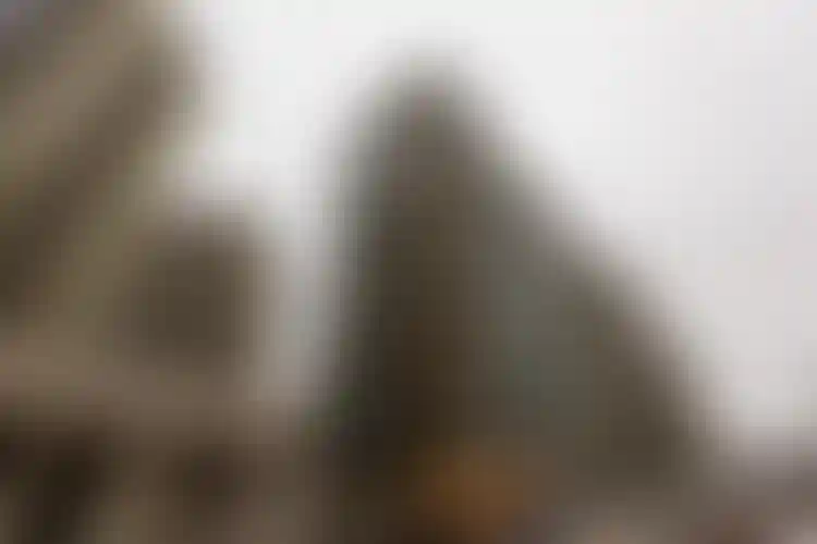 Изображение галереи