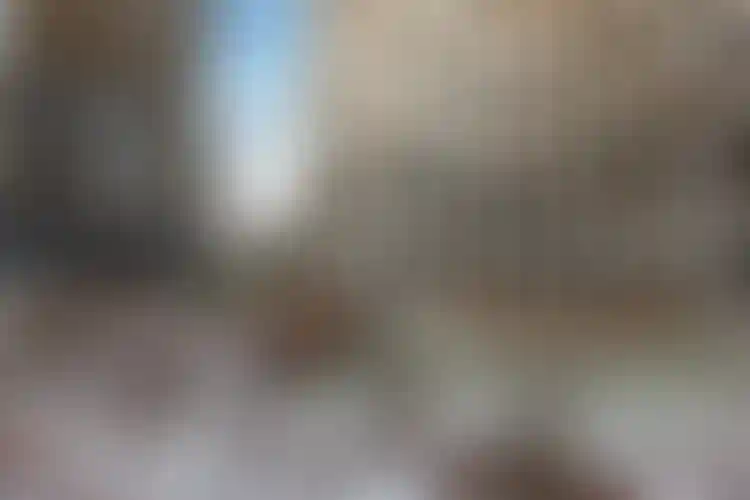 Изображение галереи