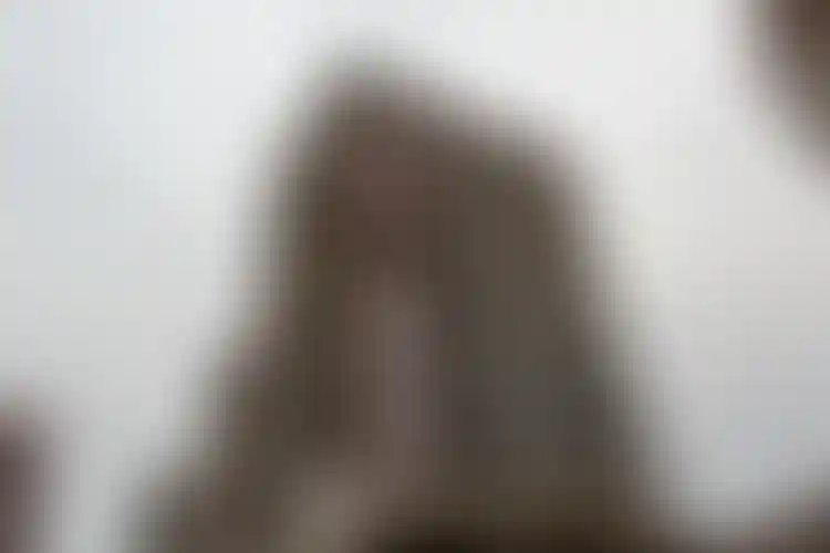 Изображение галереи