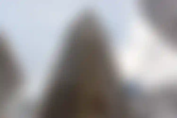 Изображение галереи