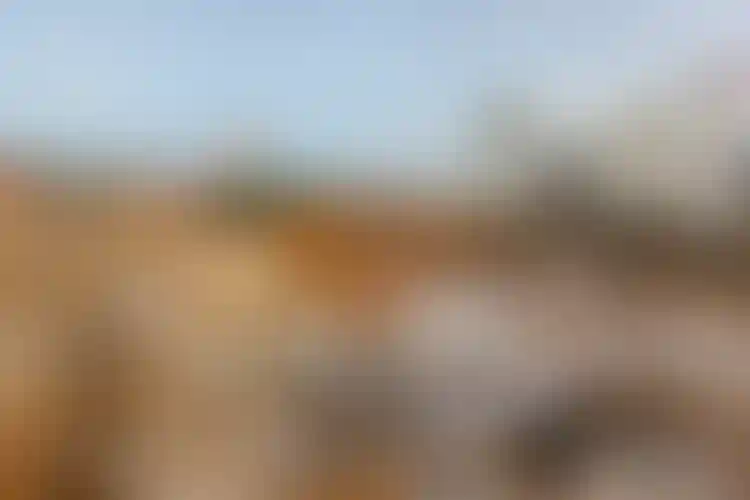 Изображение галереи