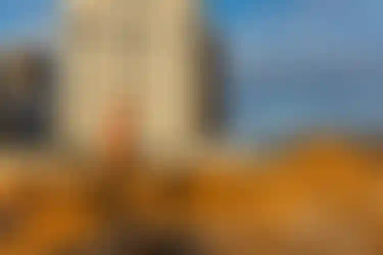 Изображение галереи