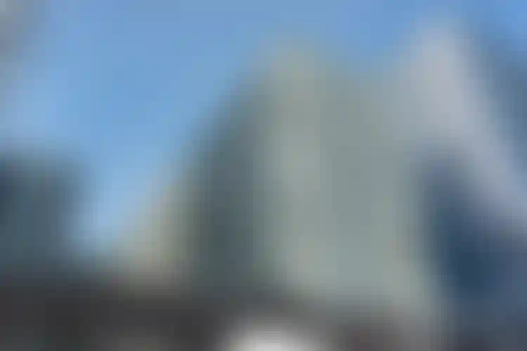 Изображение галереи