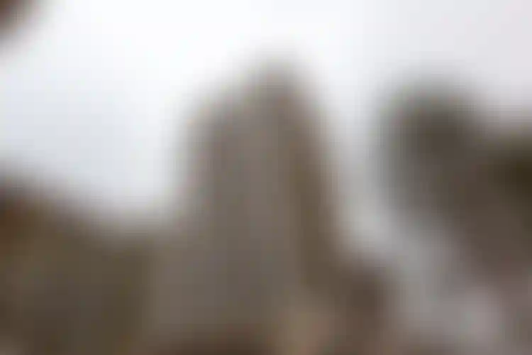 Изображение галереи