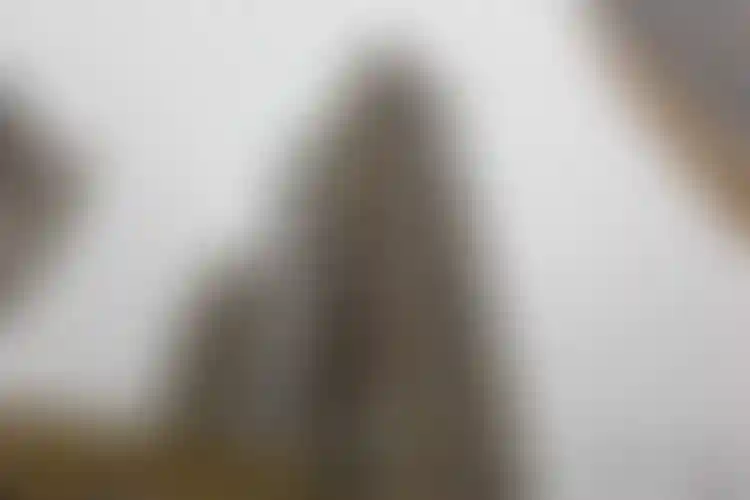 Изображение галереи