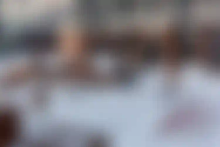 Изображение галереи