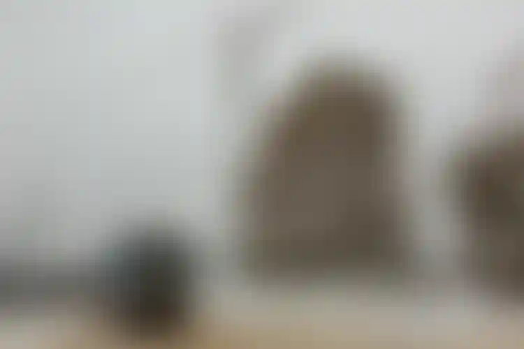 Изображение галереи