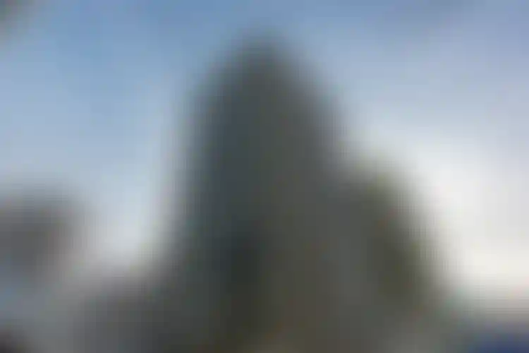 Изображение галереи