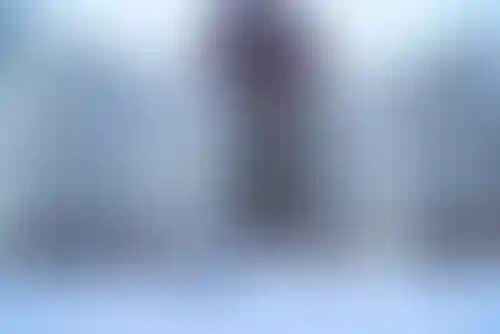 Изображение галереи