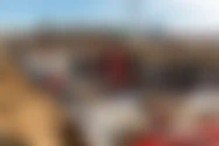 Изображение галереи