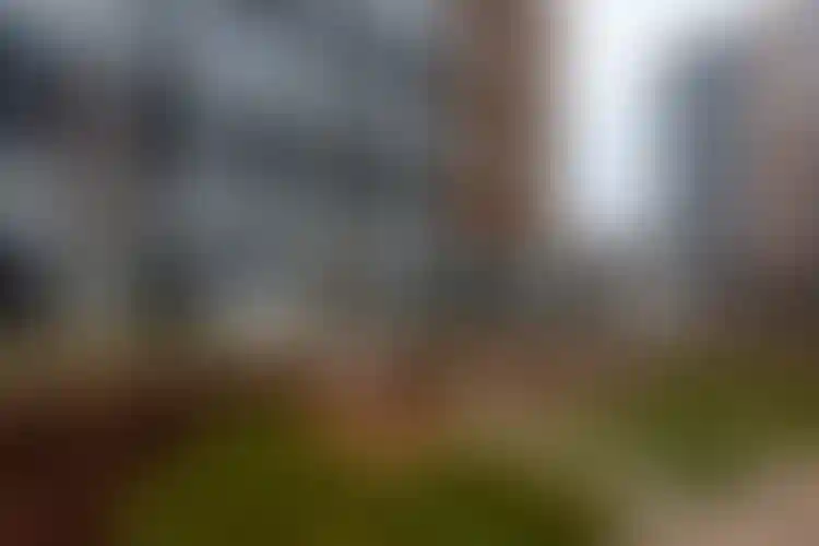 Изображение галереи