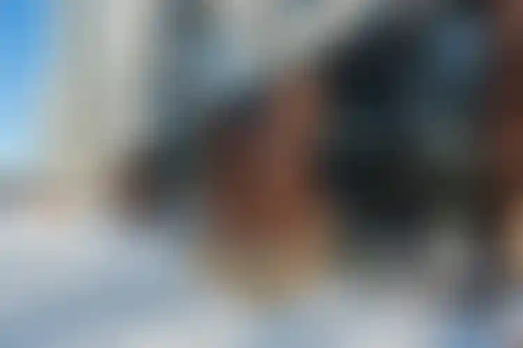 Изображение галереи