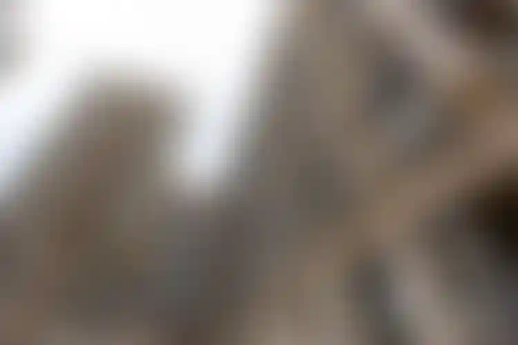 Изображение галереи