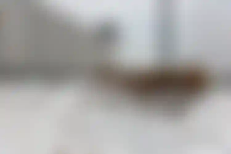 Изображение галереи