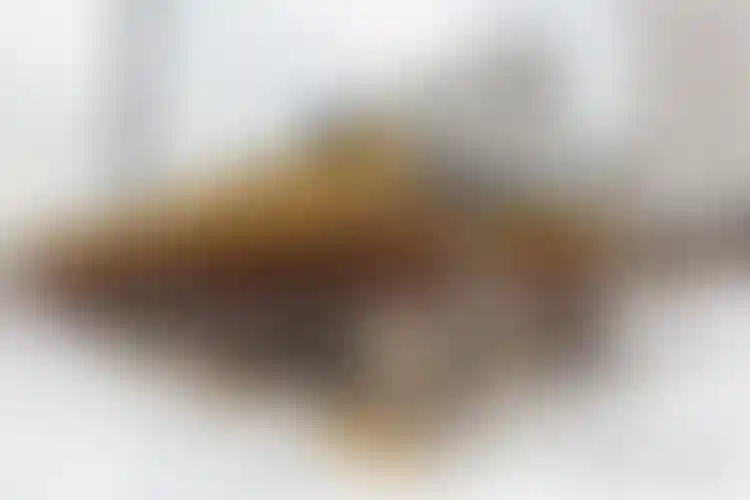 Изображение галереи