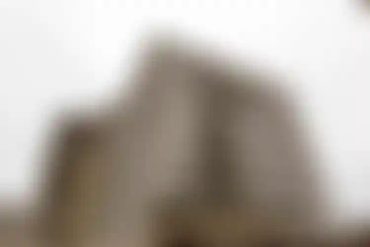 Изображение галереи