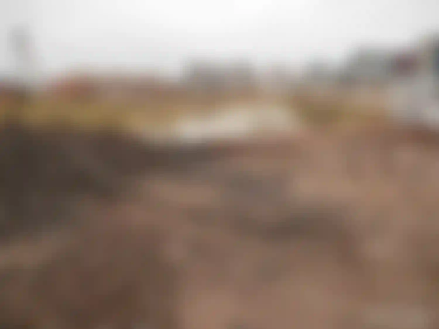 Изображение галереи