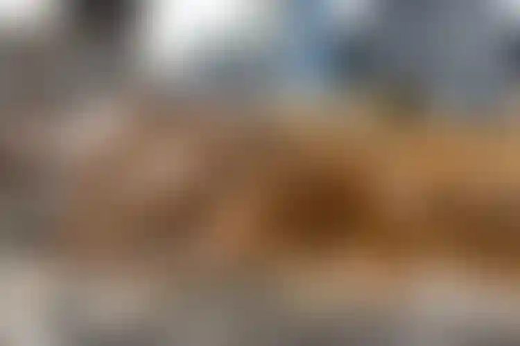 Изображение галереи