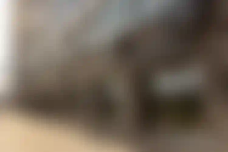 Изображение галереи