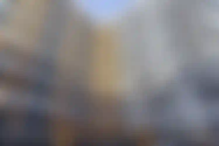 Изображение галереи