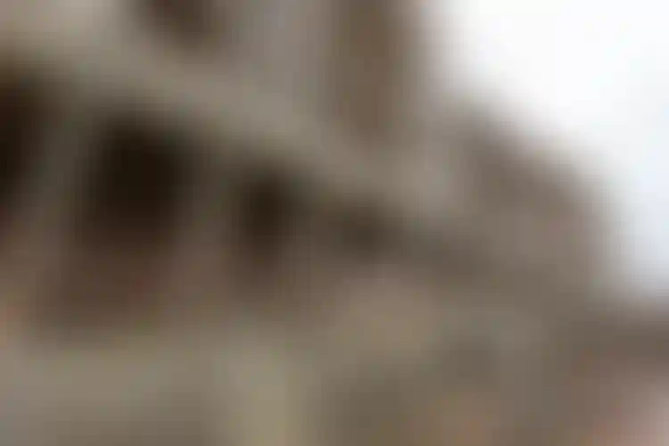 Изображение галереи