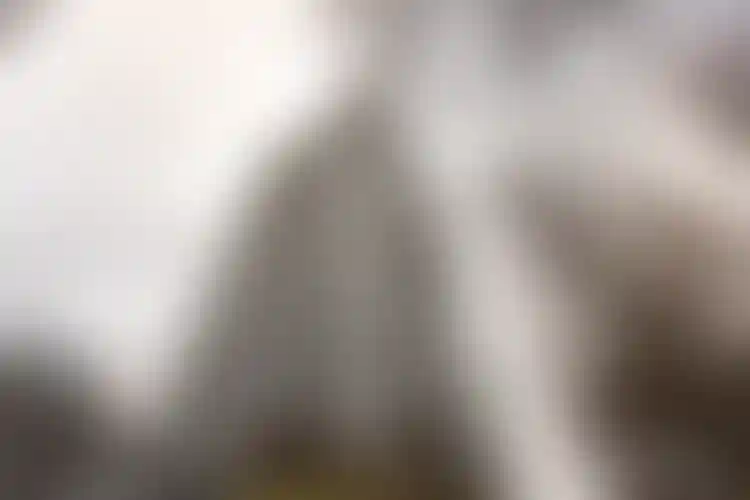 Изображение галереи