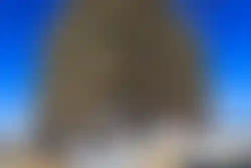 Изображение галереи