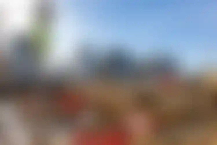 Изображение галереи