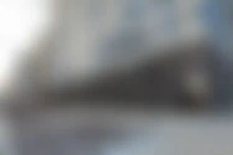 Изображение галереи