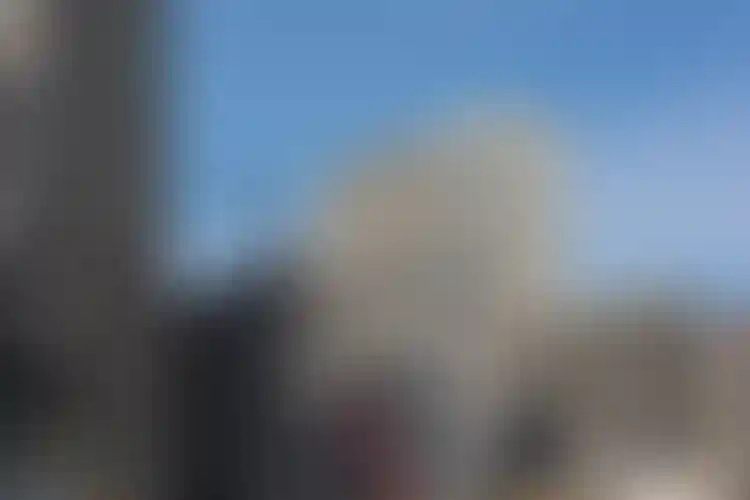 Изображение галереи