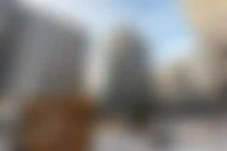 Изображение галереи