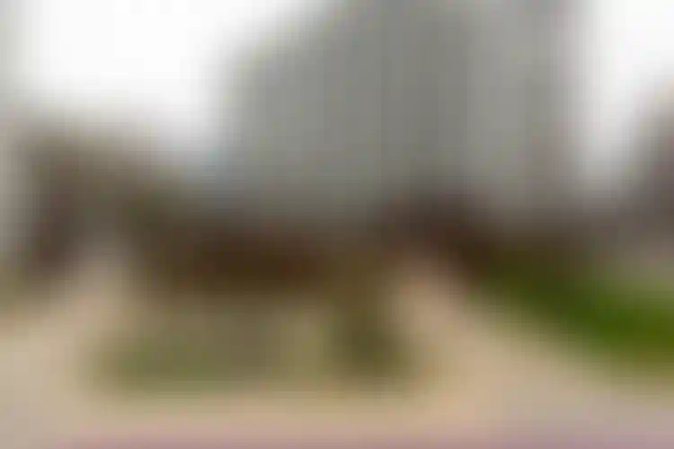 Изображение галереи