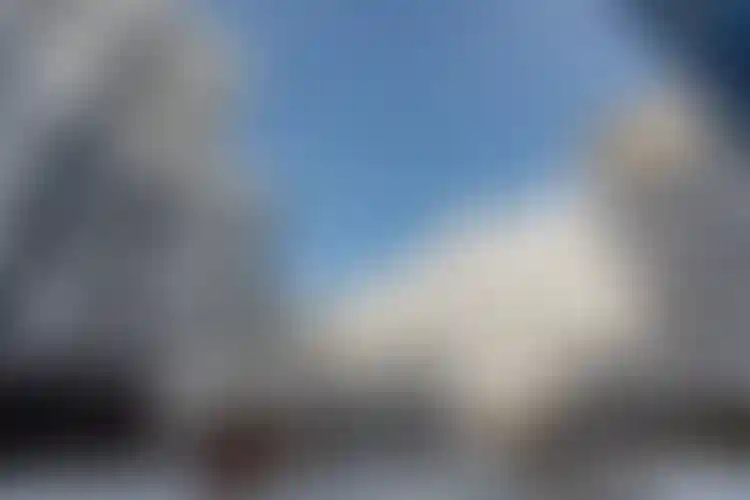 Изображение галереи