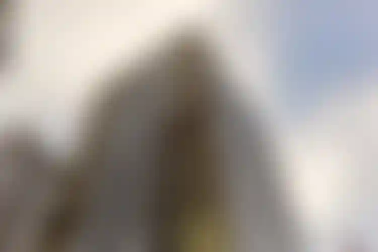 Изображение галереи