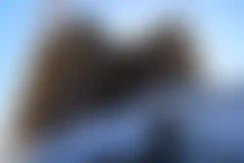 Изображение галереи