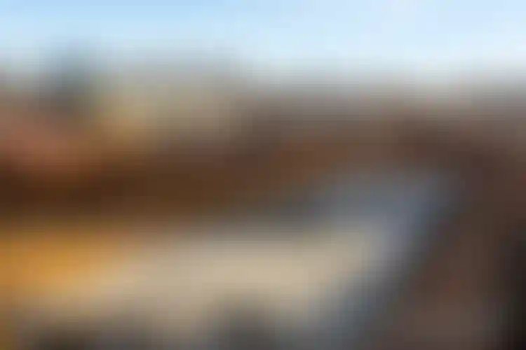 Изображение галереи