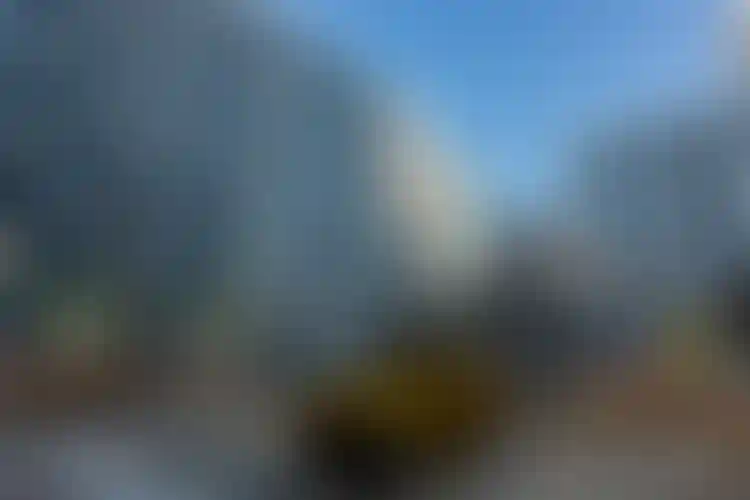 Изображение галереи