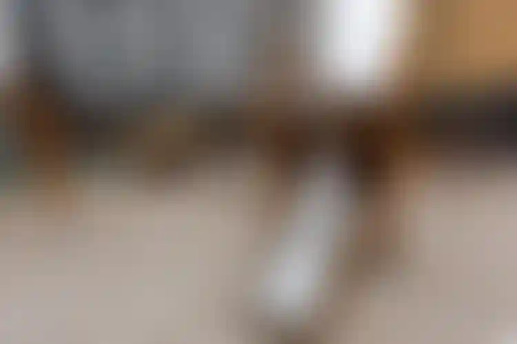 Изображение галереи