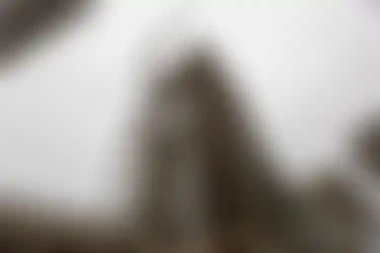 Изображение галереи