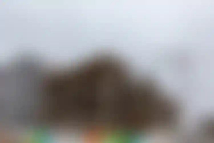 Изображение галереи