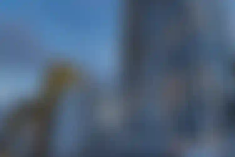 Изображение галереи